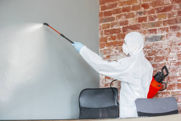 Best Indoor Air Quality Assessment  in Antigo, WI