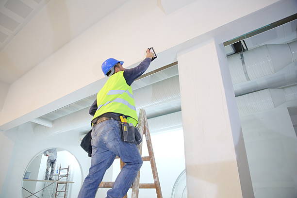 Environmental Consulting for Mold Prevention in Antigo, WI
